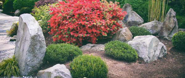 Batu-batuan Besar sebagai Fokus Taman